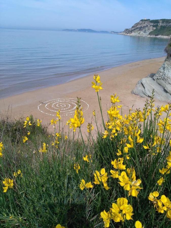 Spiti Mitsis Holiday home Arillas (Corfu)